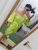 Envy fashion